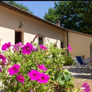 La Pecora Verde Appartamento